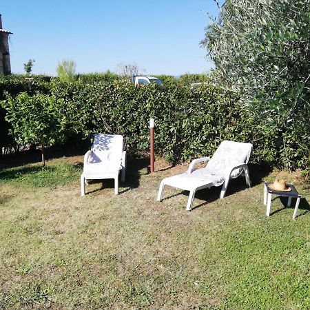 L'Aia Degli Olivi Apartment Vada Exterior foto