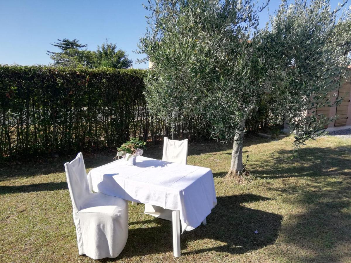 L'Aia Degli Olivi Apartment Vada Exterior foto