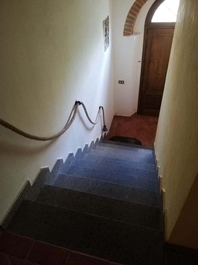 L'Aia Degli Olivi Apartment Vada Exterior foto